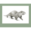 230909 Otter 3