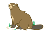 Dam It