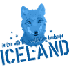 Iceland fox Island