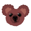 little brown bear Ben