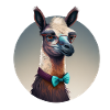cool alpaca
