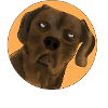 KUCK KUCK DESIGN ORANGE