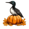 Citrouille d’oiseau huard Paresseux Halloween