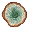 Naturmotiv - farbige Baumscheibe