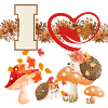 I love autumn