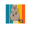 Quokka Australia marsupial