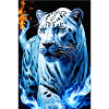 White Animals Leopard