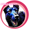 Agent Biscuit