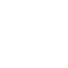 Crow skull skull