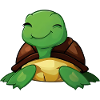 Turtle Reptile Terrarium
