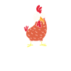 Komischer Vogel