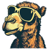 Kamel mit Sonnenbrille