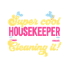 Domestic help, cleaner, housekeeper