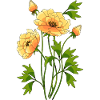 Fleur
