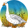 Goose