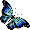 Schmetterling