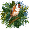 Oiseau