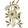 Blumen