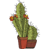 Fleur