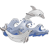 Dolphins
