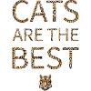 Tigre / J’aime mon chat