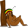 sleeping reggae sloth