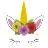 Unicorn Ears