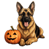Deutscher Schäferhund-Kürbis, faule
