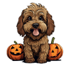 Labradoodle Dog Pumpkin Lazy Halloween