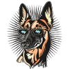The King Malinois
