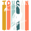 Toucan Jungle Nature South America
