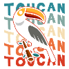 Toucan Holiday Tropical Exotic