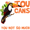 Toucan Animal Exotic