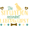 Hunde Training Hundeschule Leckerli