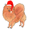 pomeranian Christmas sticker