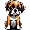 Cute cute boxer dog