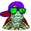 Cool Turtle
