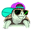 Cool Turtle
