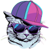 Cool Cat