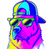 Cool Dog