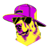 Cool Dog