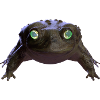 Frosch