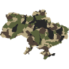 Ukraine Camoufalge