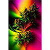 Abstract Cannabis