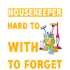 Domestic help, cleaner, housekeeper