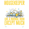 Domestic help, cleaner, housekeeper