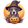 Halloween Witch Hat Pumpkin Dog American Staffie