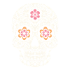 Mexican skull