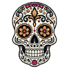 Mexican skull
