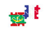 Mauritania France Flag French Mauritanian
